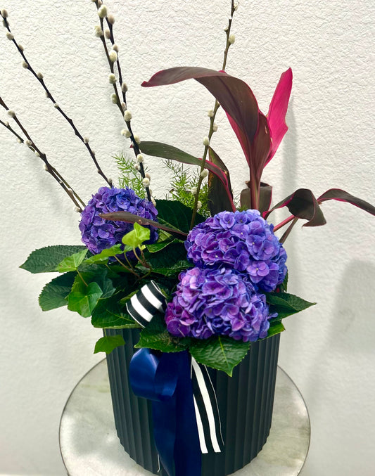 Designer's Choice Outdoor Plant